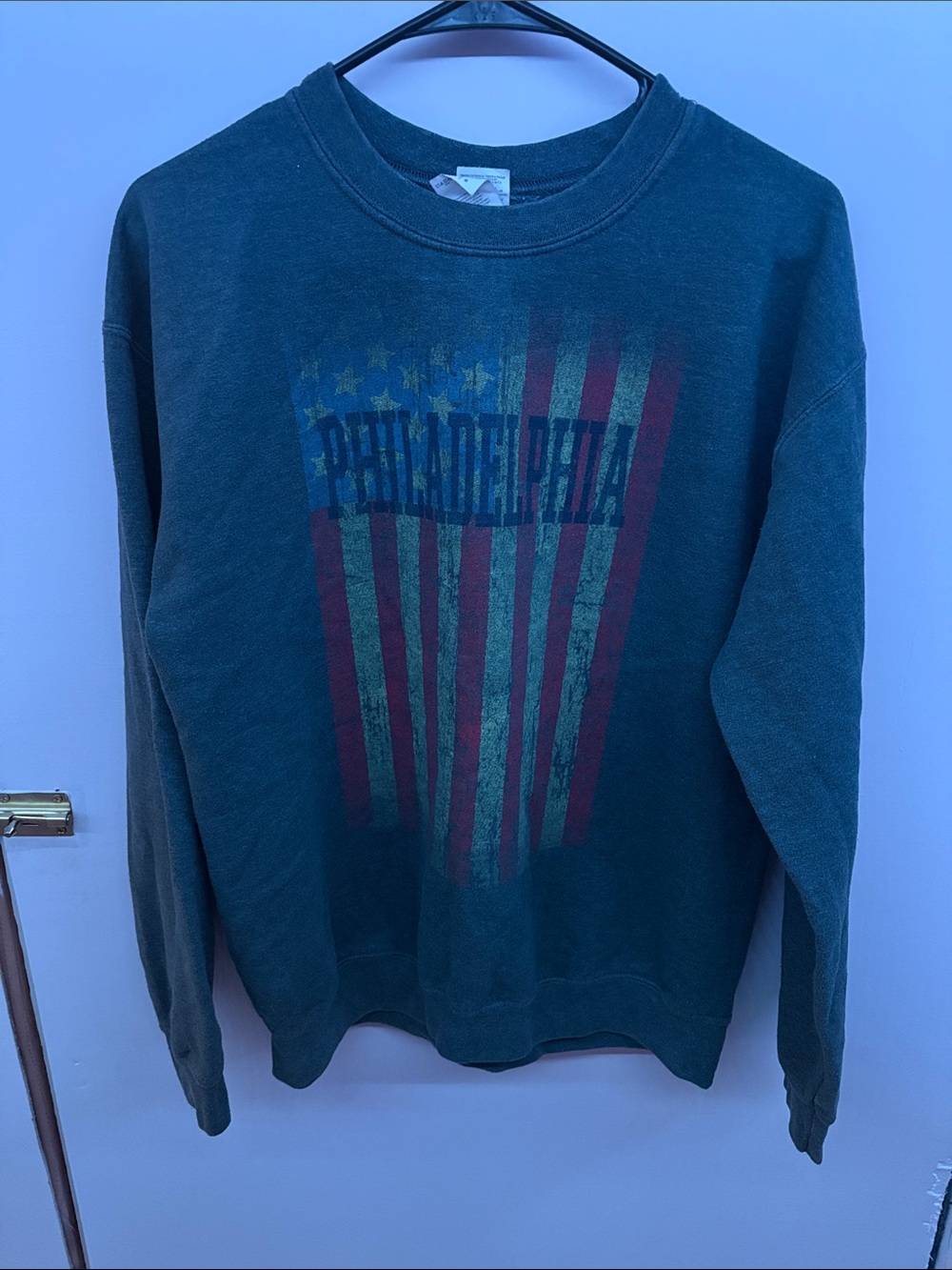 Gildan Philadelphia Flag Crewneck Sweater